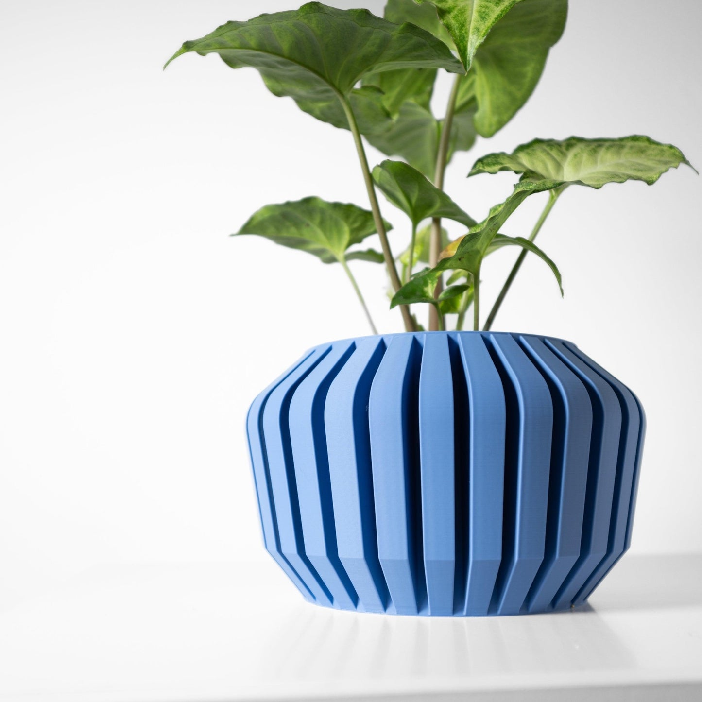 The "Vaki" Planter - Modern Indoor Plant Pot and Container - WG Creative Co.