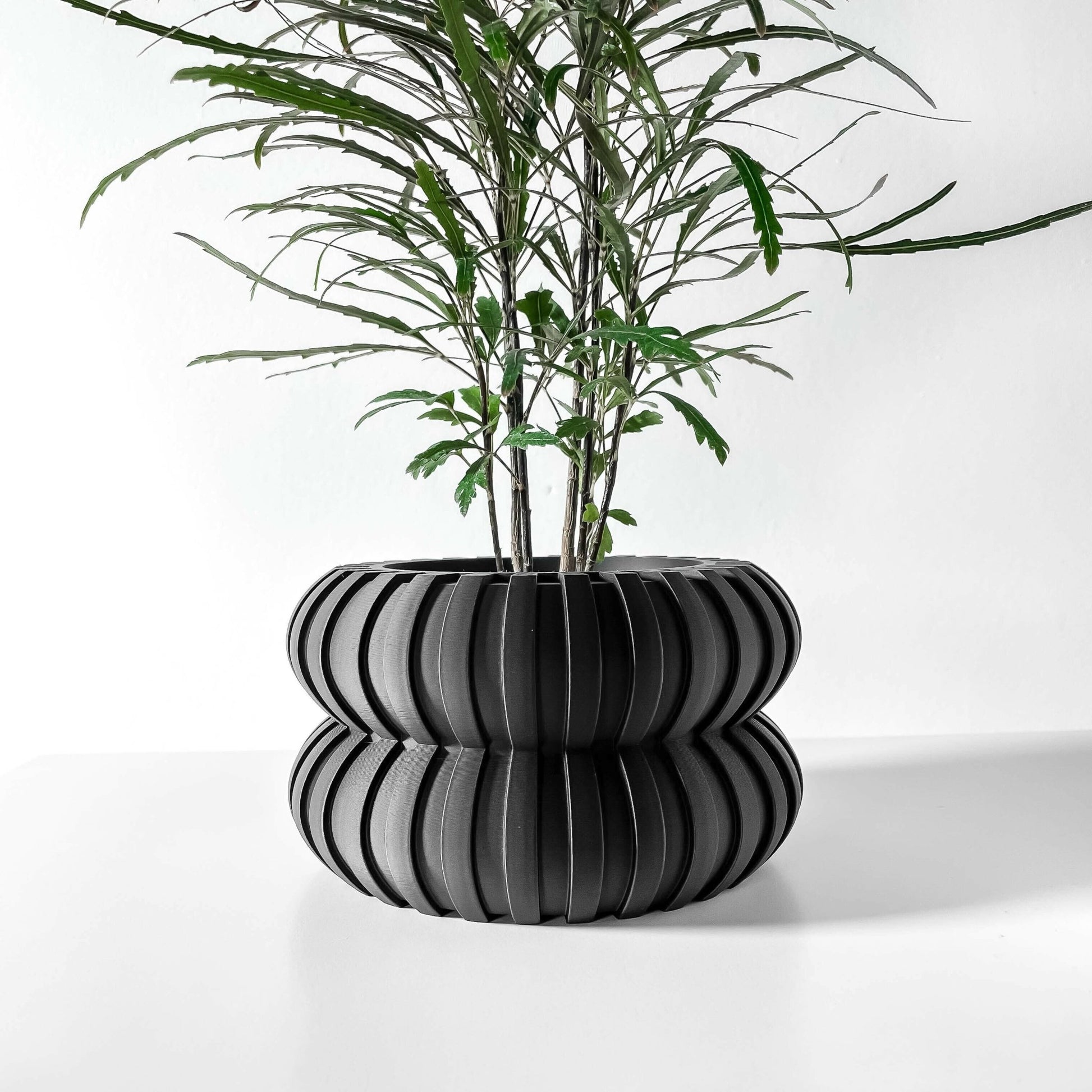 The "Wali" Planter - Modern Indoor Plant Pot and Container - WG Creative Co.