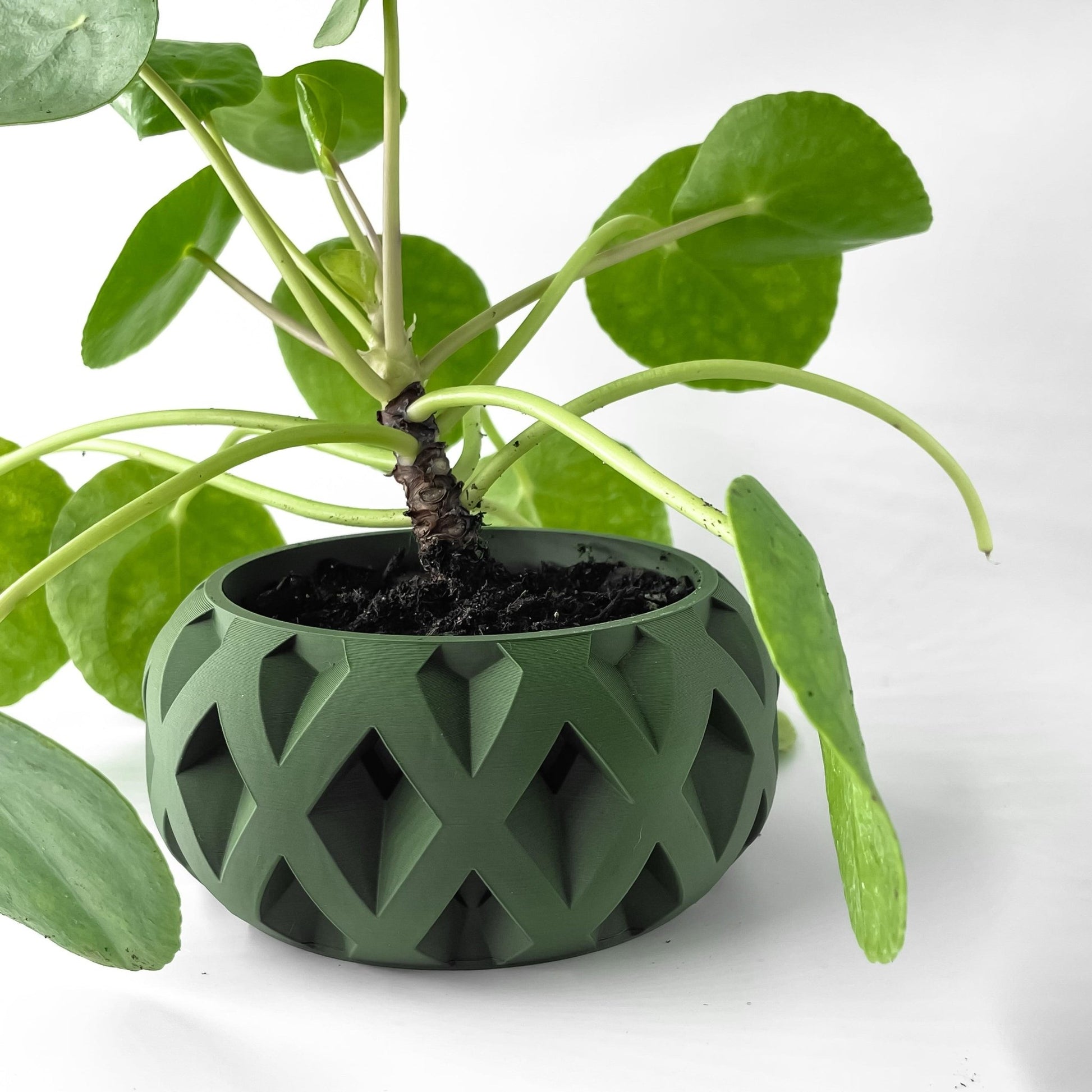 The "Welen" Planter - Modern Indoor Plant Pot and Container - WG Creative Co.