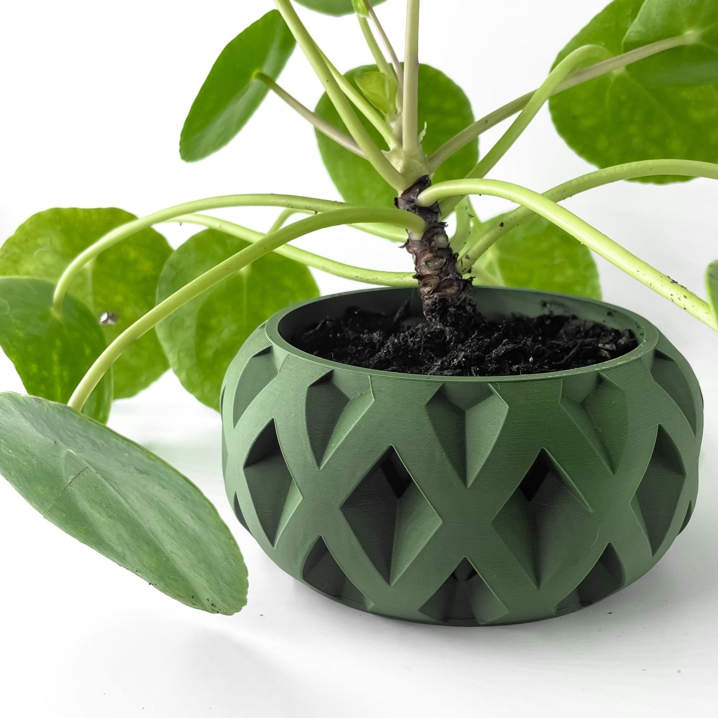 The "Welen" Planter - Modern Indoor Plant Pot and Container - WG Creative Co.