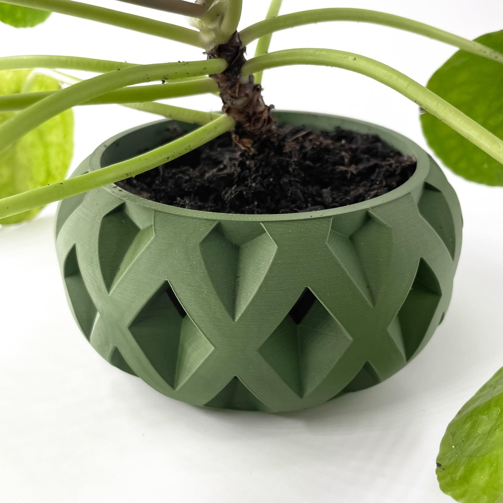 The "Welen" Planter - Modern Indoor Plant Pot and Container - WG Creative Co.