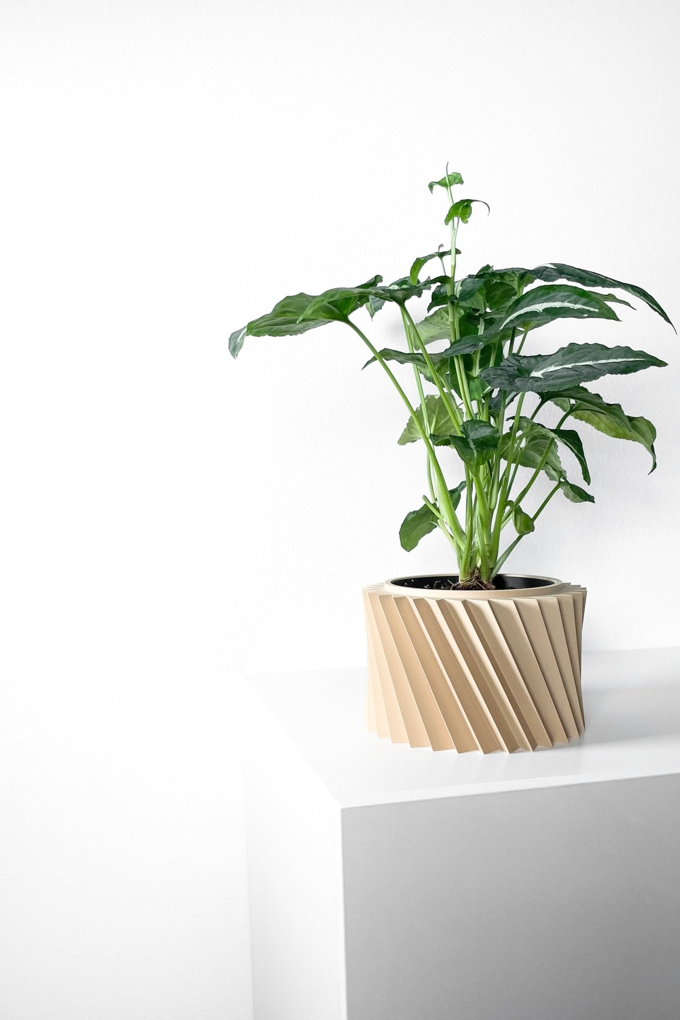 The "Wiron" Planter - Modern Indoor Plant Pot and Container - WG Creative Co.