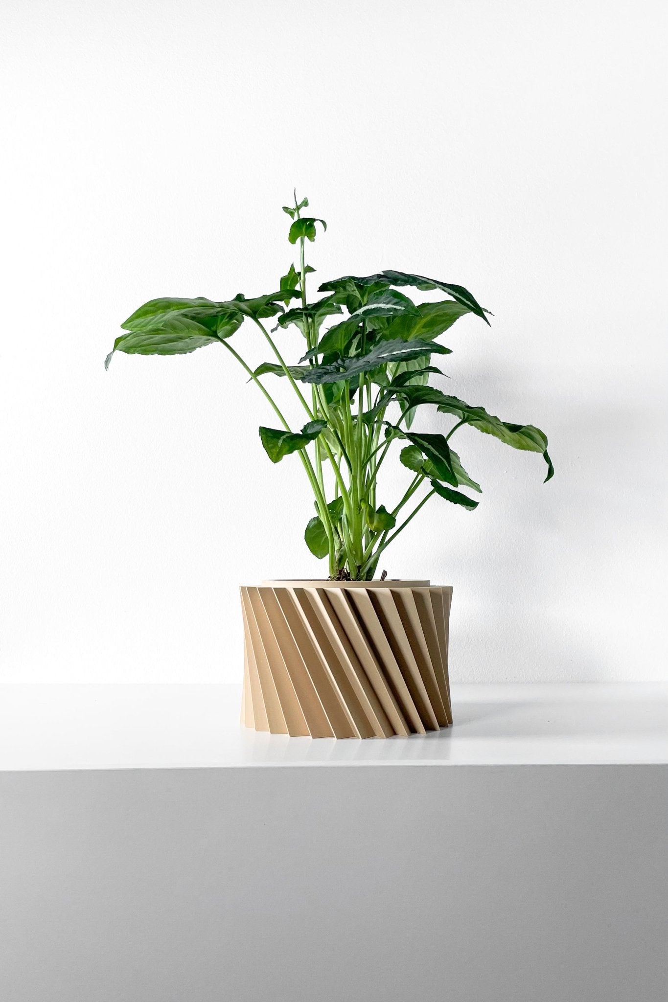 The "Wiron" Planter - Modern Indoor Plant Pot and Container - WG Creative Co.