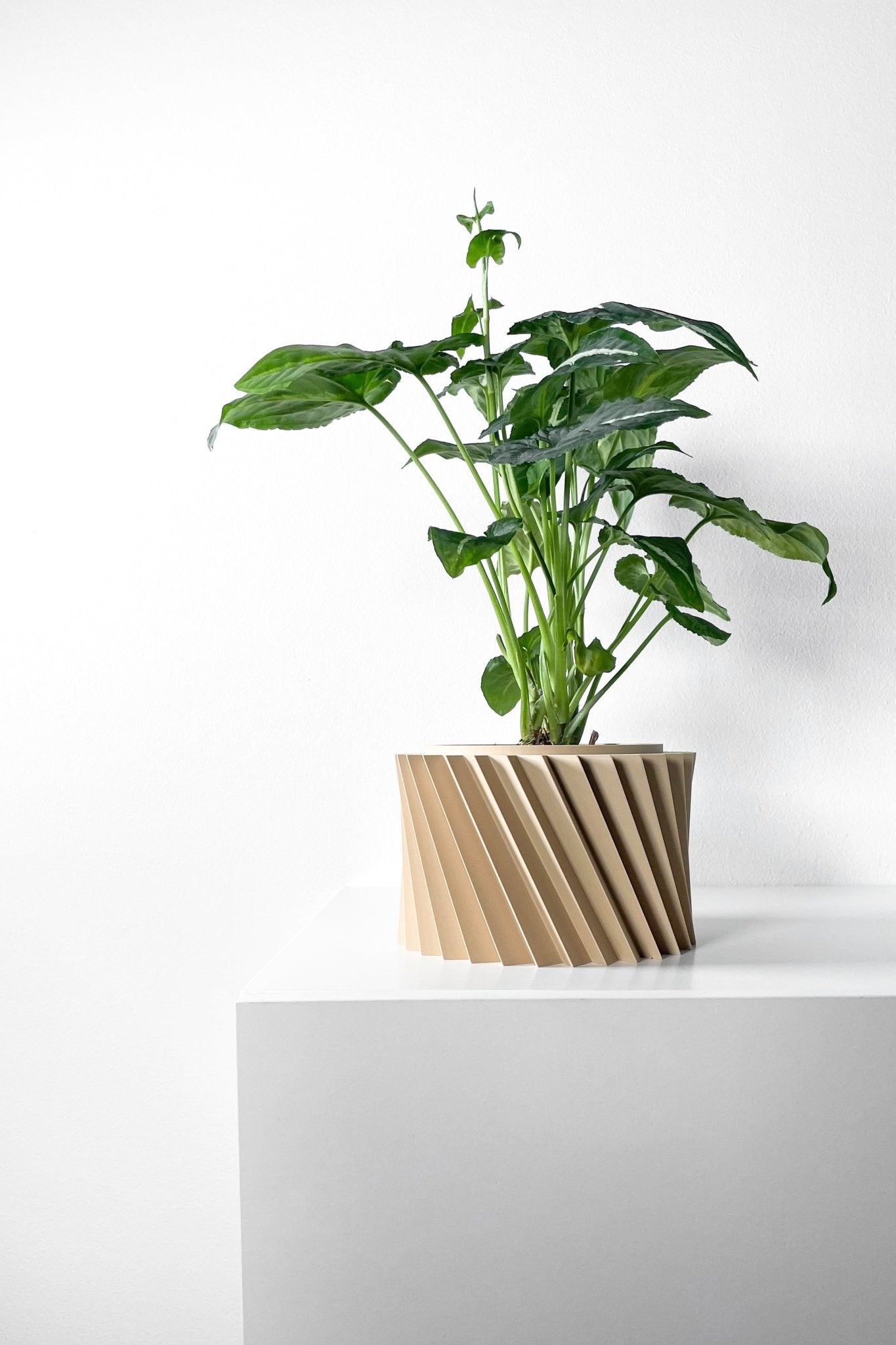 The "Wiron" Planter - Modern Indoor Plant Pot and Container - WG Creative Co.