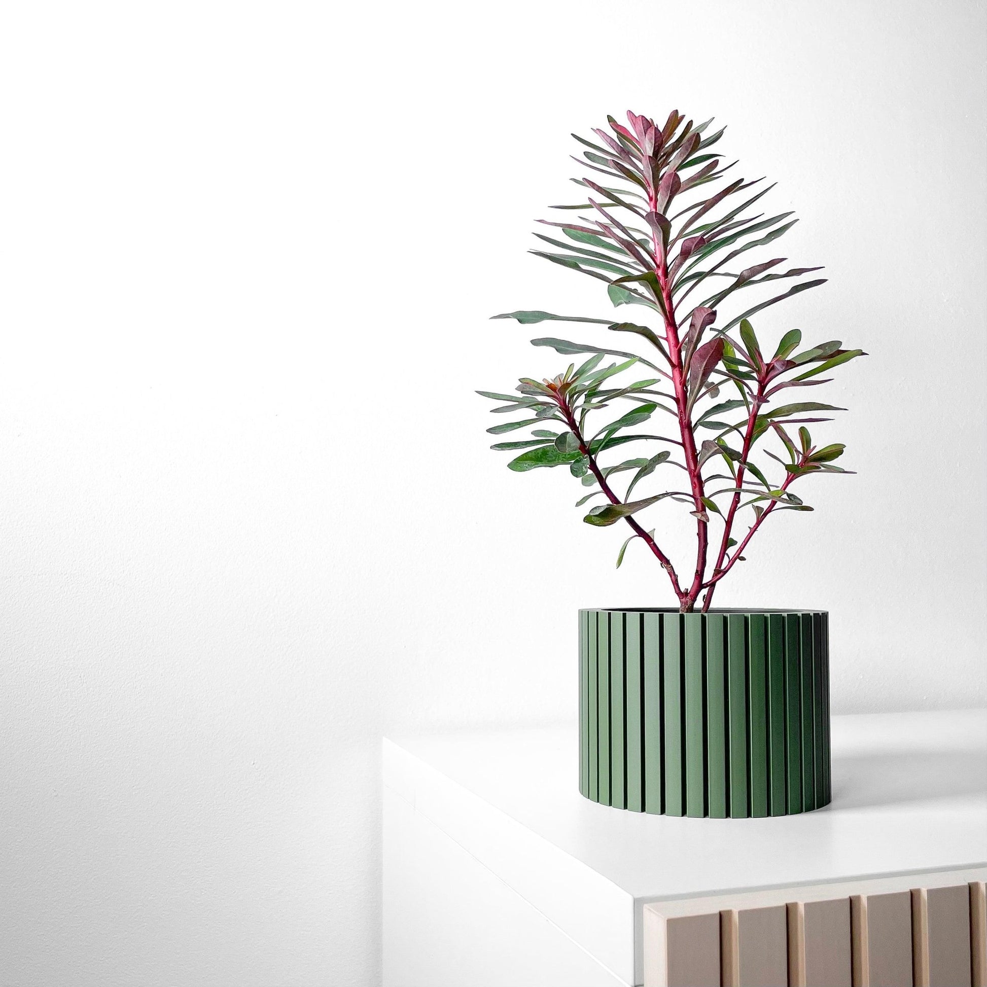 The "Zelno" Planter - Modern Indoor Plant Pot and Container - WG Creative Co.