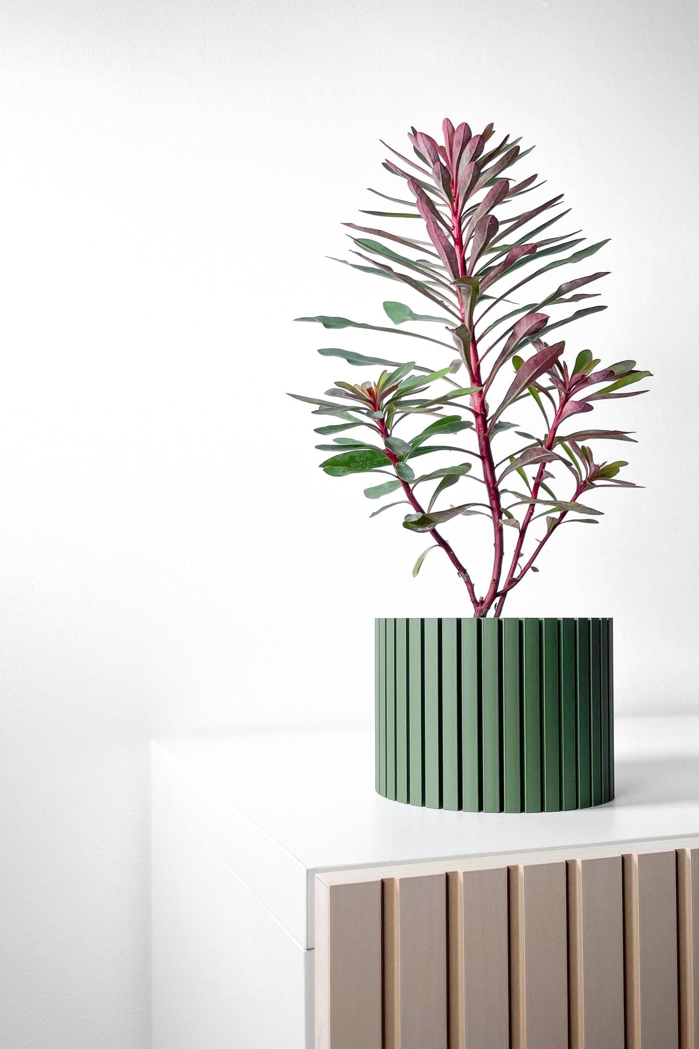 The "Zelno" Planter - Modern Indoor Plant Pot and Container - WG Creative Co.